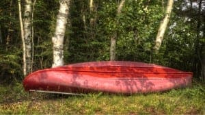 Red canoe leaning against birch trees
