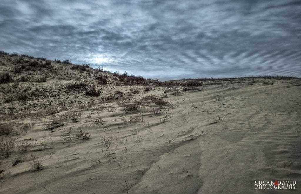 Great Sandhill Dunes