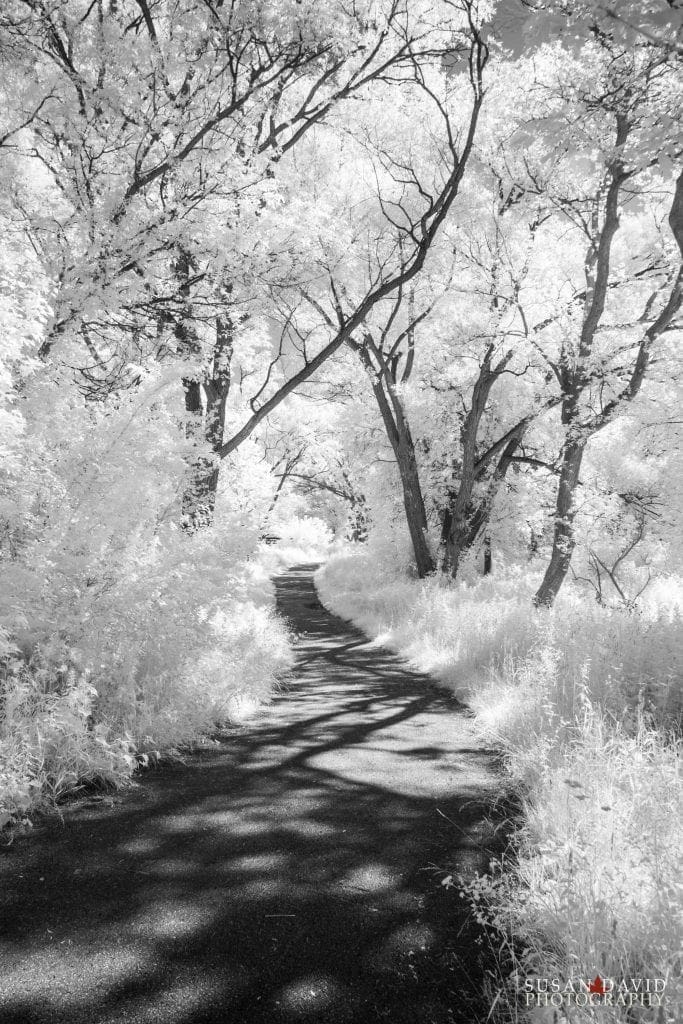 Humber River InfraRed